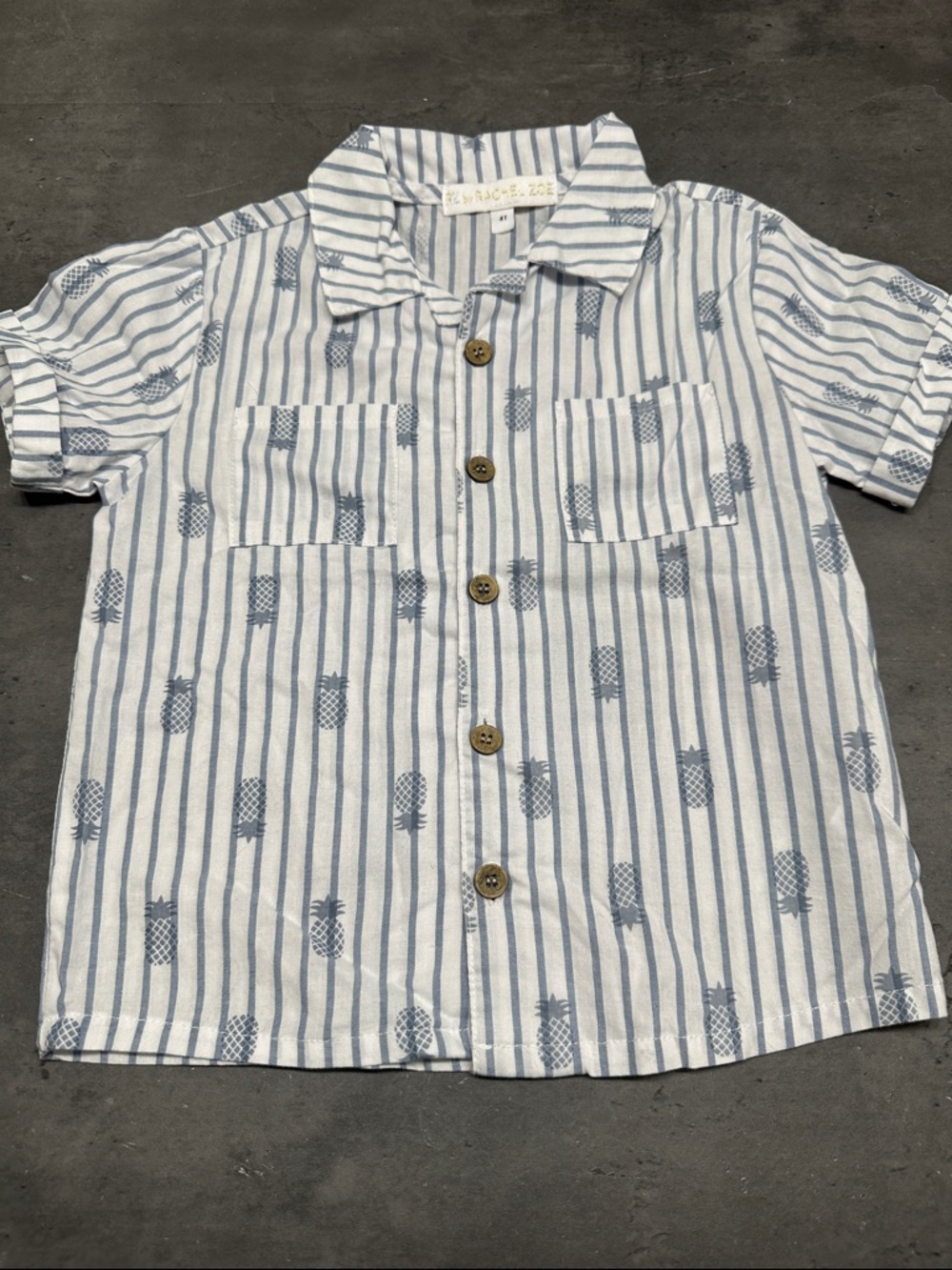 Boys Blue & White Striped Pineapple Button-Front Shirt